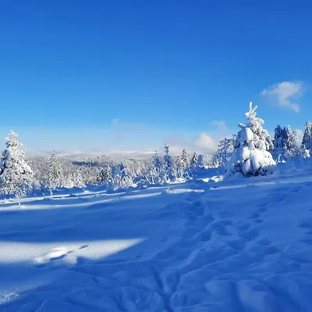 Les Dryades Lägenhet Gérardmer