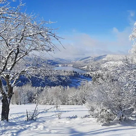 Les Dryades 아파트 *