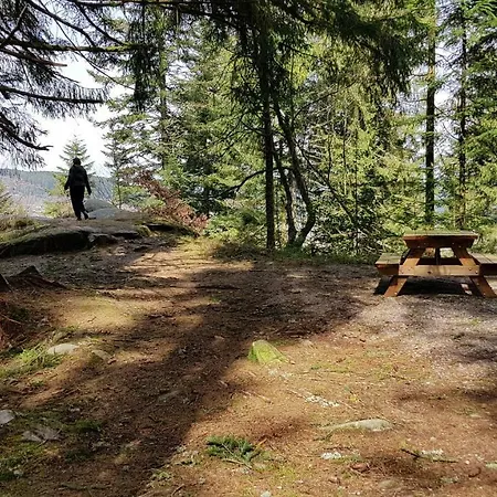 Les Dryades Gérardmer