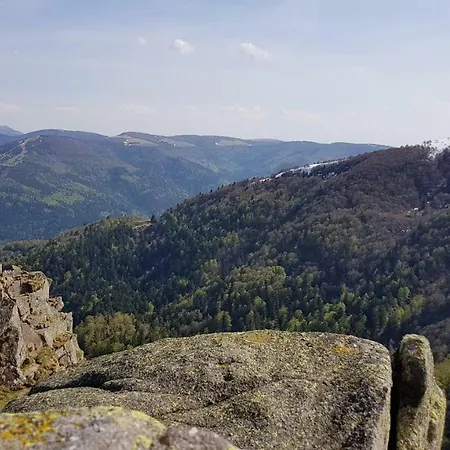 Les Dryades * Gerardmer