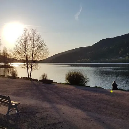 Apartment Les Dryades Gerardmer