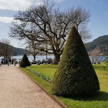 Les Dryades Apartment Gerardmer