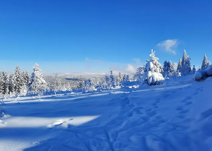 Les Dryades Lägenhet Gérardmer
