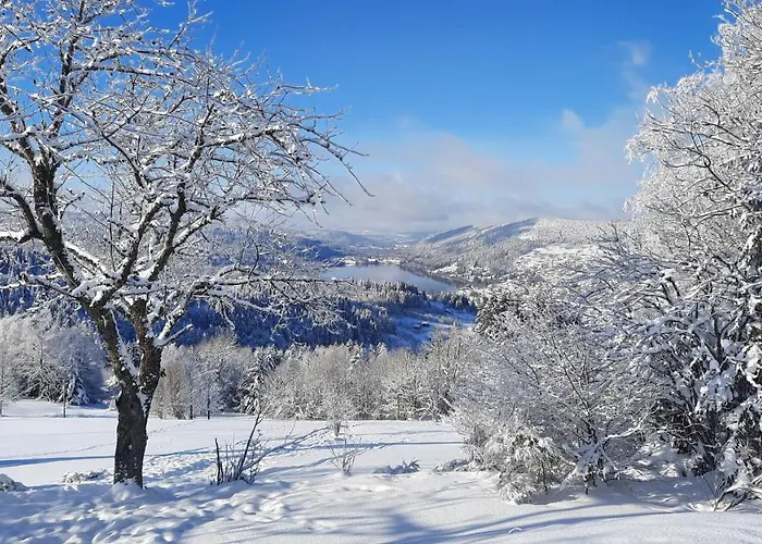 Les Dryades Appartement *