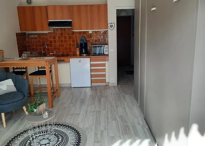 Les Dryades Appartement Gérardmer