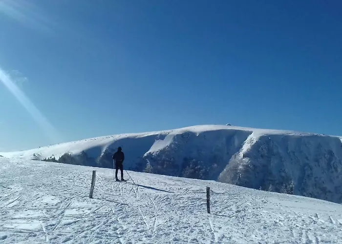 Lägenhet Les Dryades