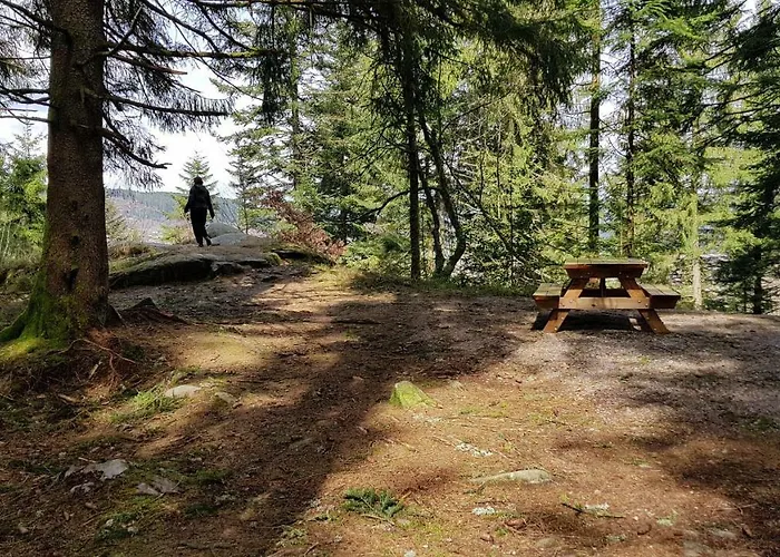 Les Dryades 제라르메르