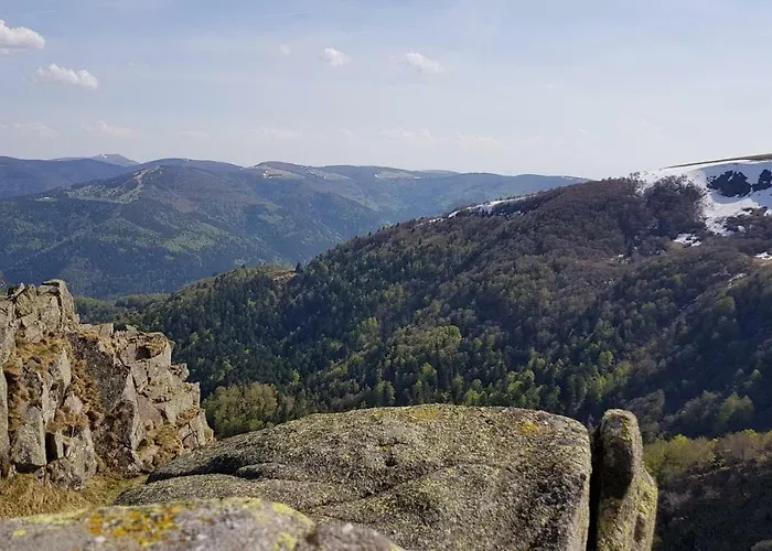 Les Dryades * Gérardmer