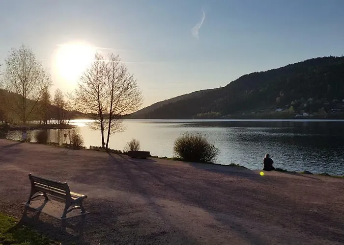 아파트 Les Dryades 제라르메르