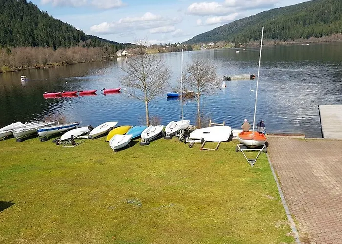 Lägenhet Les Dryades Gérardmer