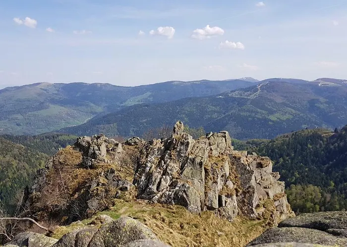 아파트 Les Dryades